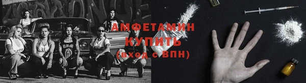 стафф Володарск