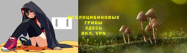 spice Волоколамск
