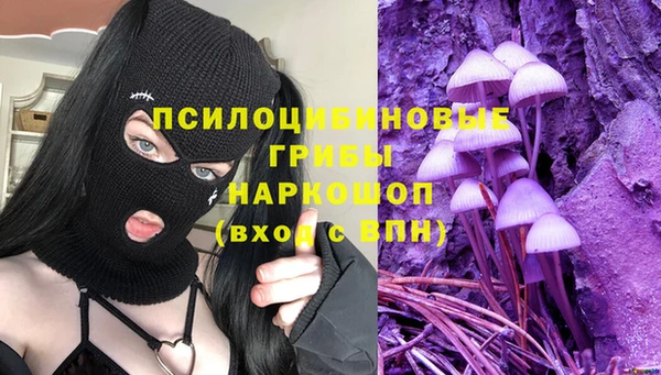 ГАЛЛЮЦИНОГЕННЫЕ ГРИБЫ Верея