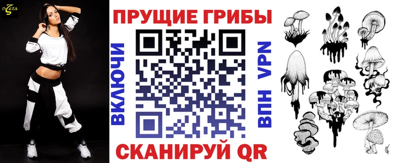 Галлюциногенные грибы Psilocybe  наркота  Лосино-Петровский 
